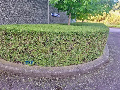 Gallery image 6